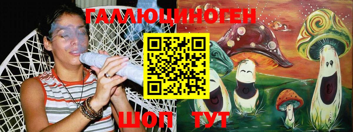 Псилоцибиновые грибы мицелий Сосновоборск